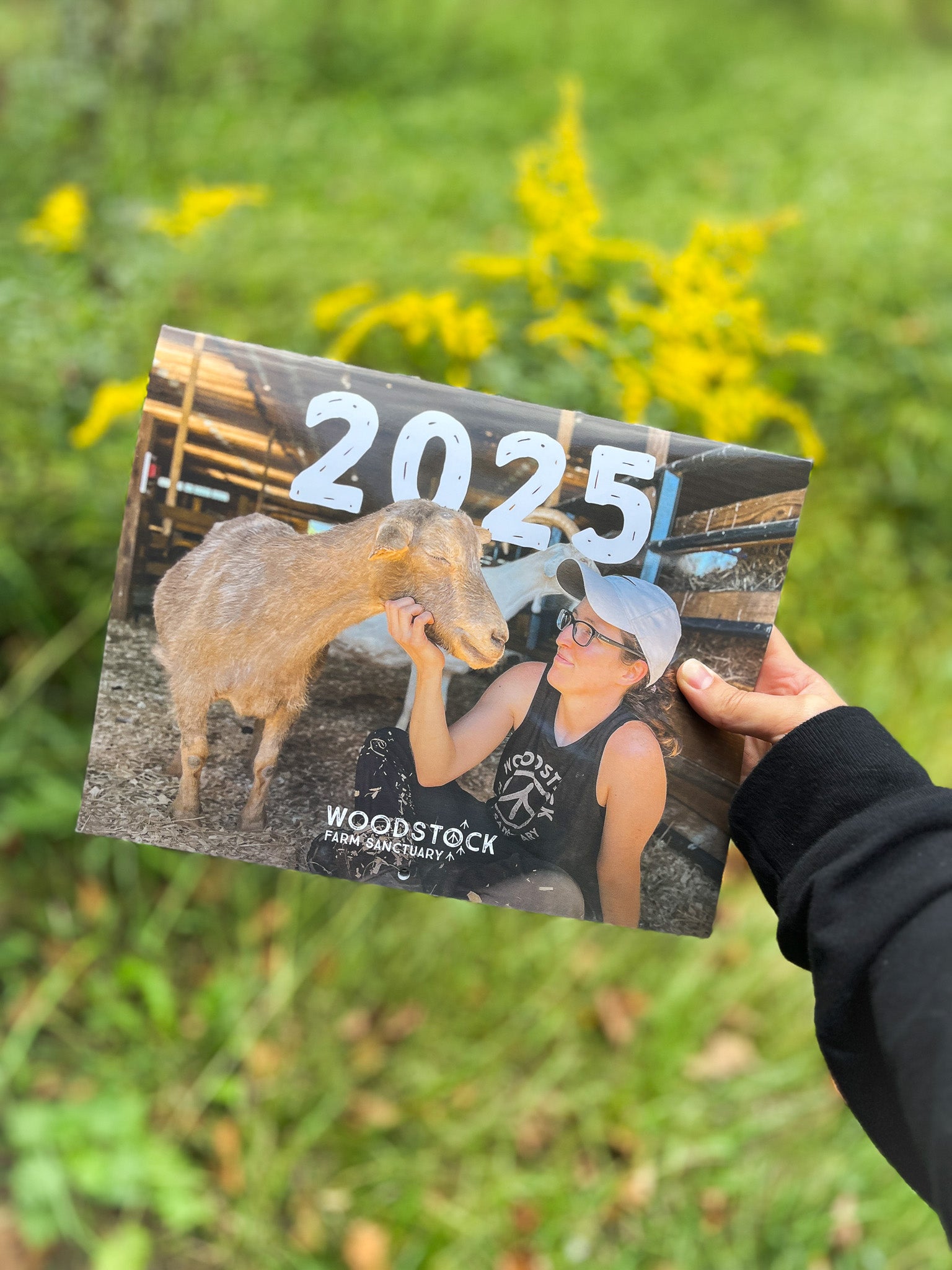 2025 Calendar Woodstock Sanctuary Store