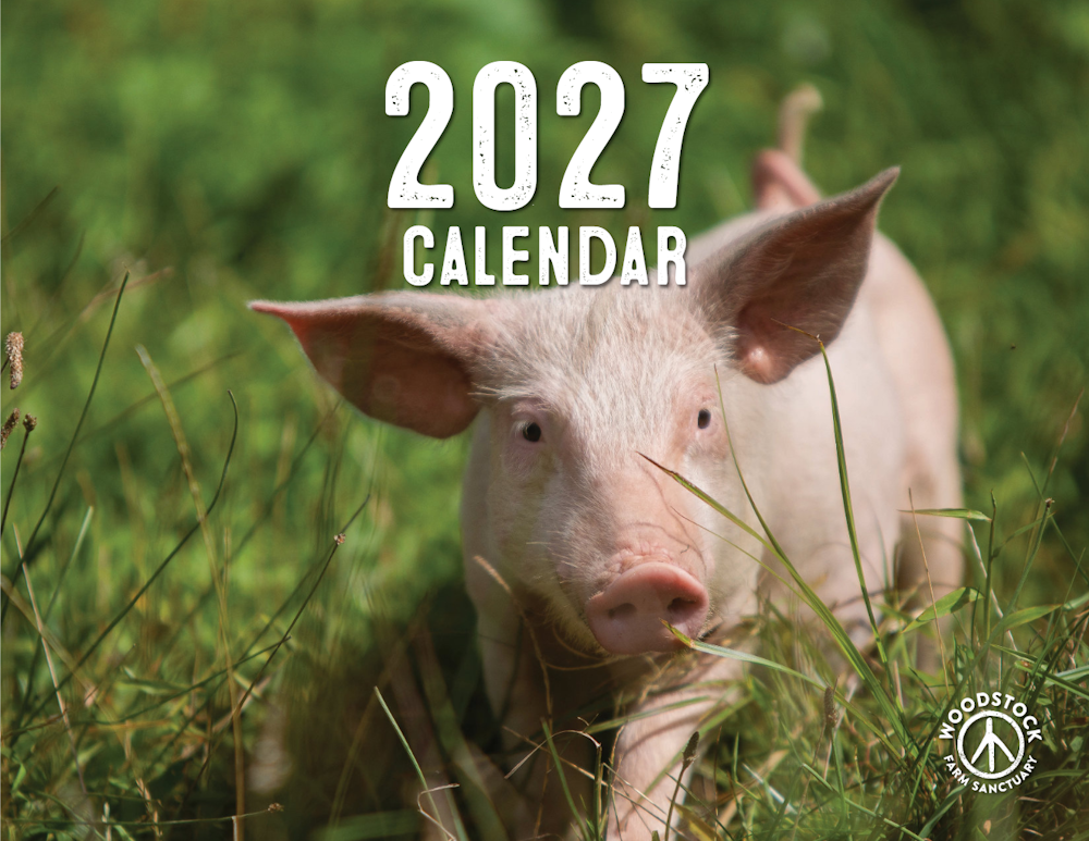 2027 Calendar