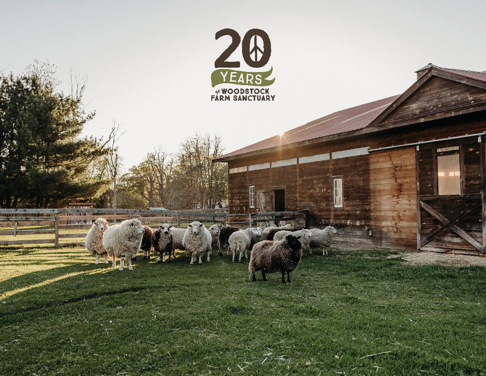 20 Years of Woodstock