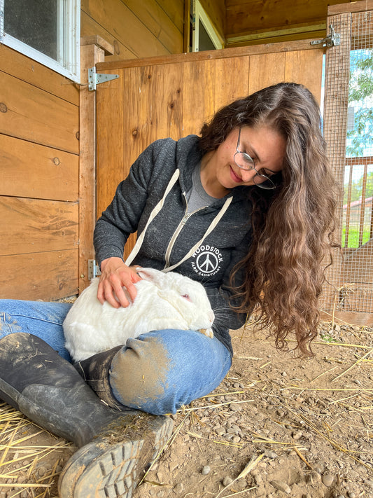 Don't Test Me Zipper Hoodie