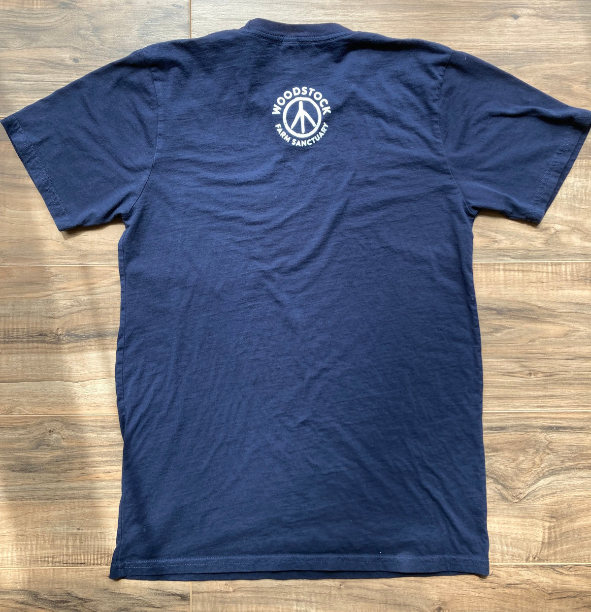 Hen Pocket Tee