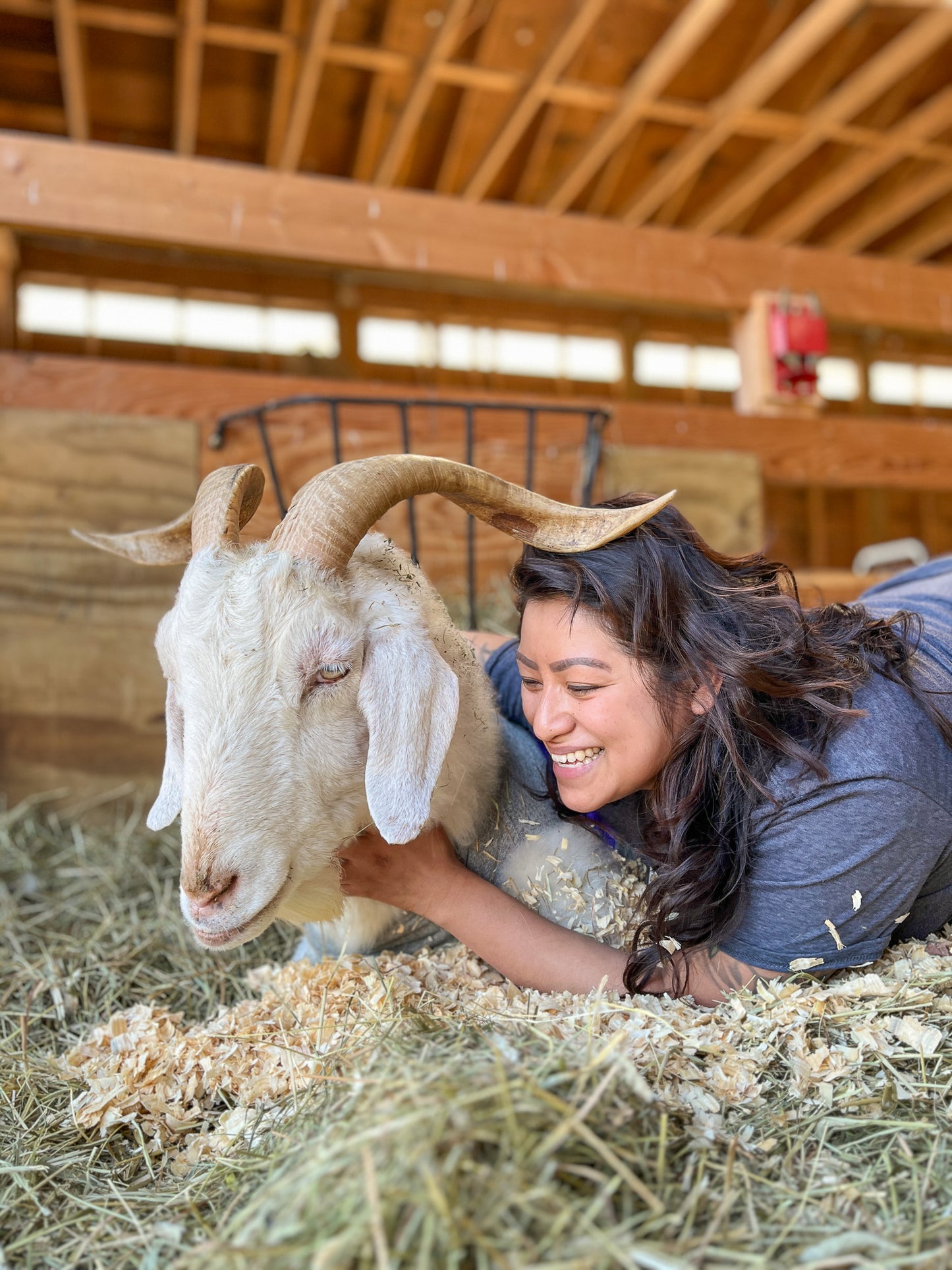 Donate to Woodstock Farm Sanctuary