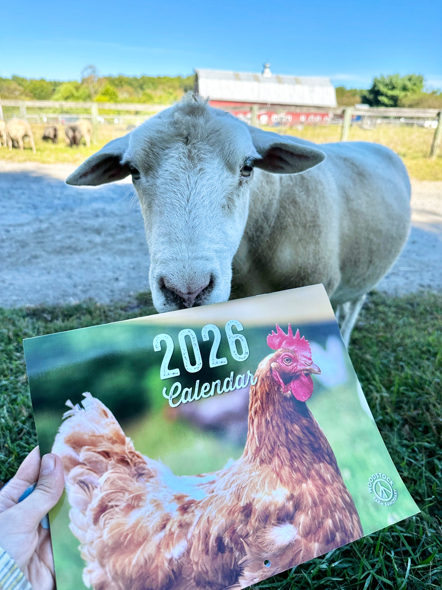 2026 Calendar