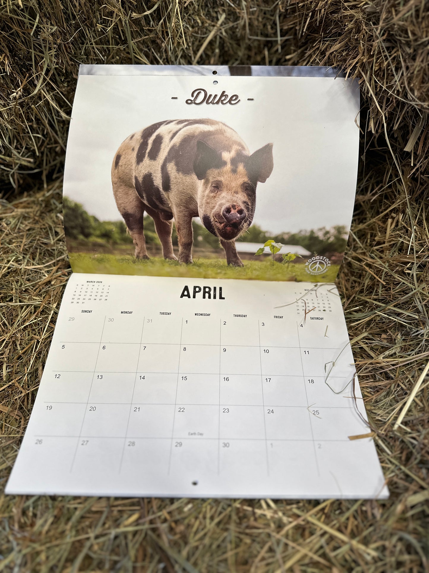 2026 Calendar
