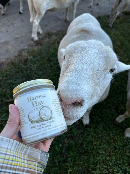 Harvest Hay Candle