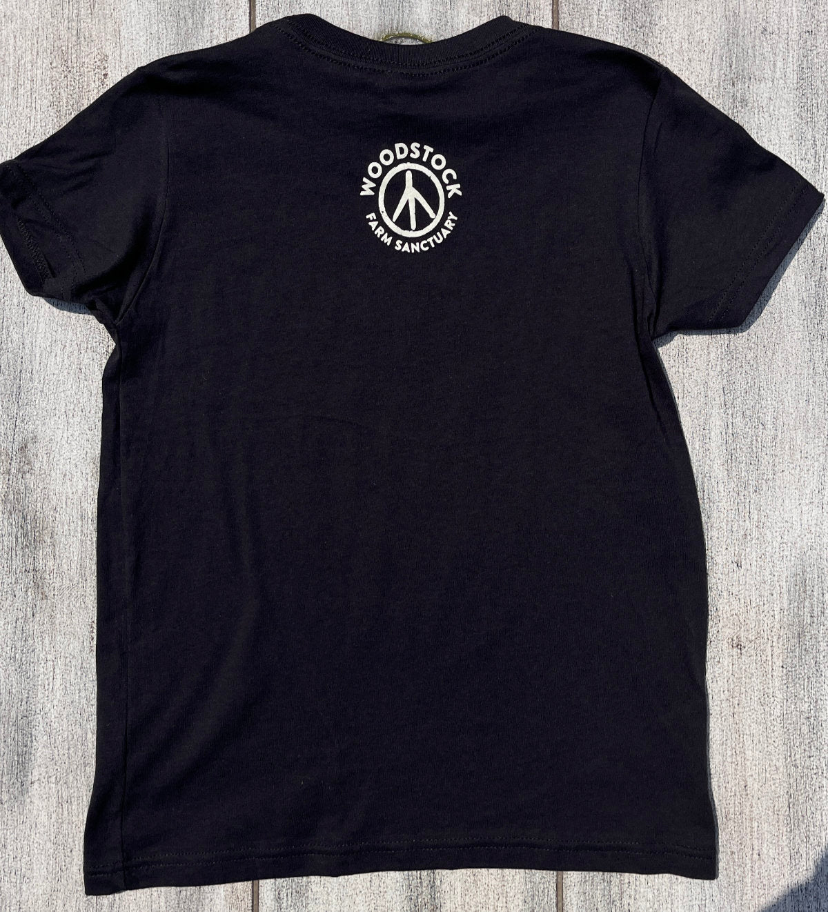 Kids I Support Sanctuaries Tee