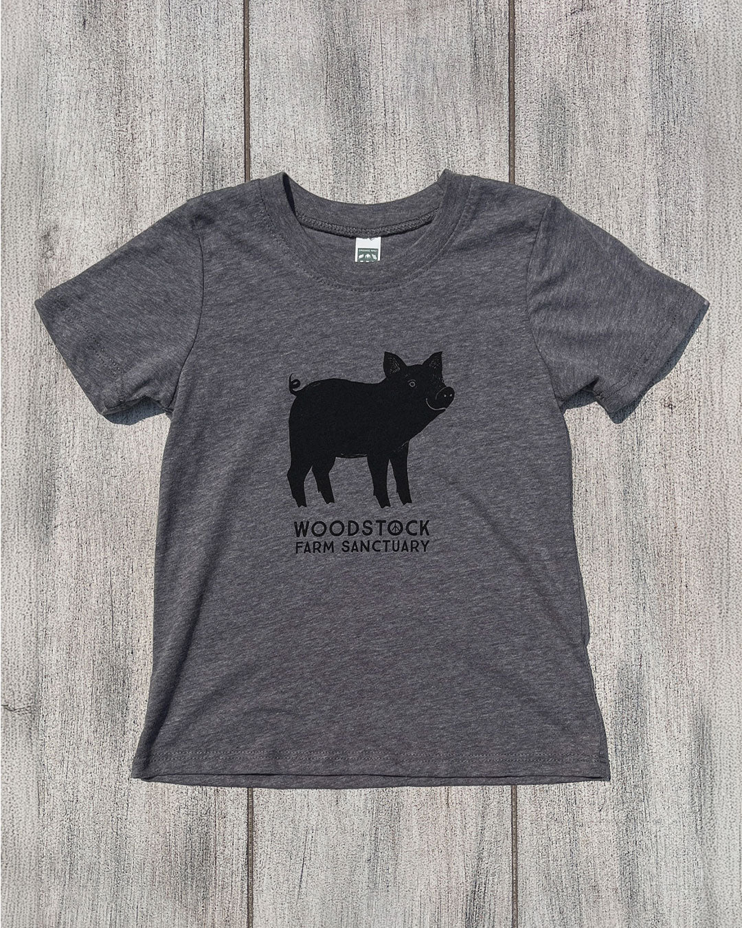 Kids Pig Logo Tee