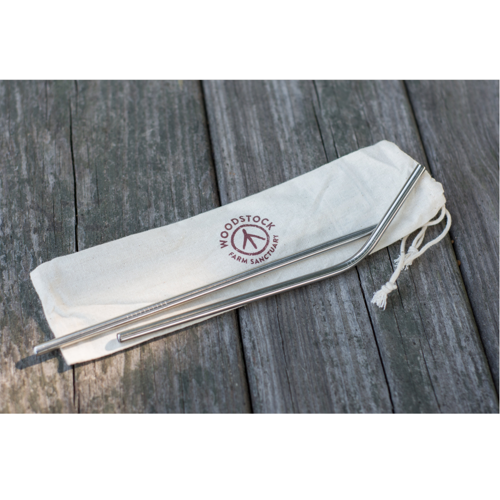 Stainless Steel Straw Set