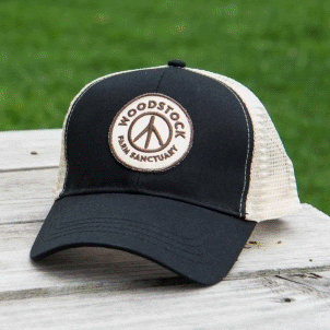 Logo Hat