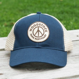 Logo Hat