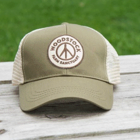 Logo Hat