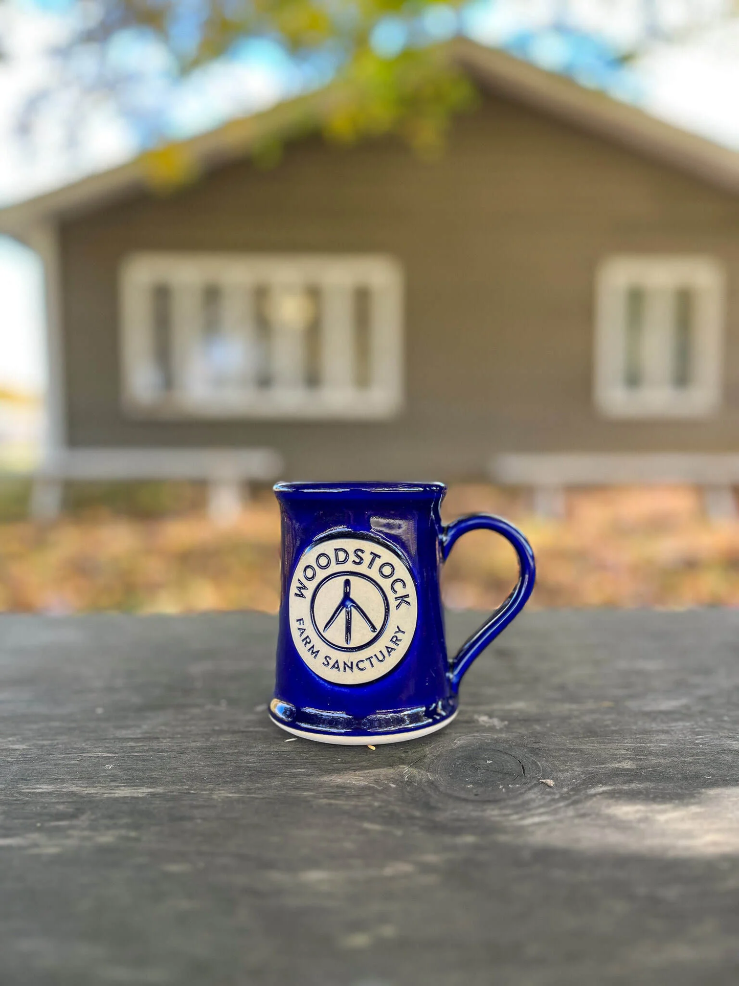 Handmade Ceramic Mug