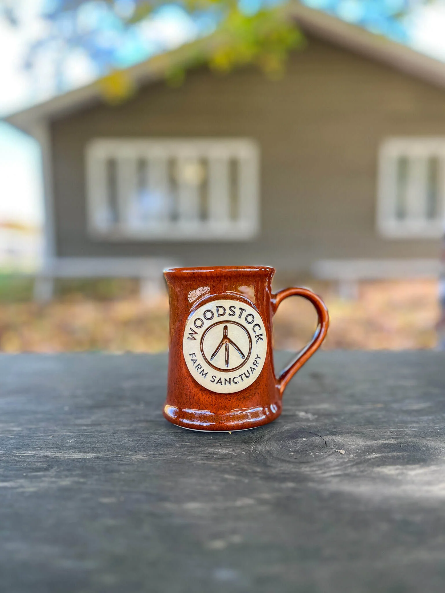 Handmade Ceramic Mug