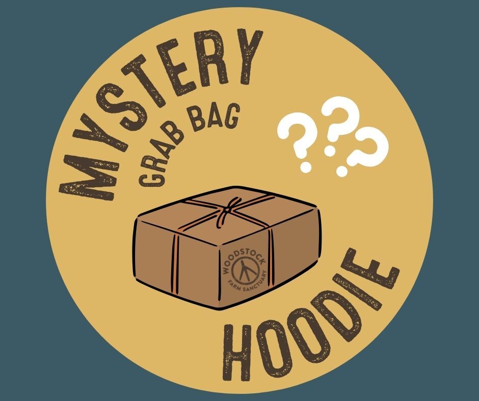 Mystery Grab Bag - Hoodie