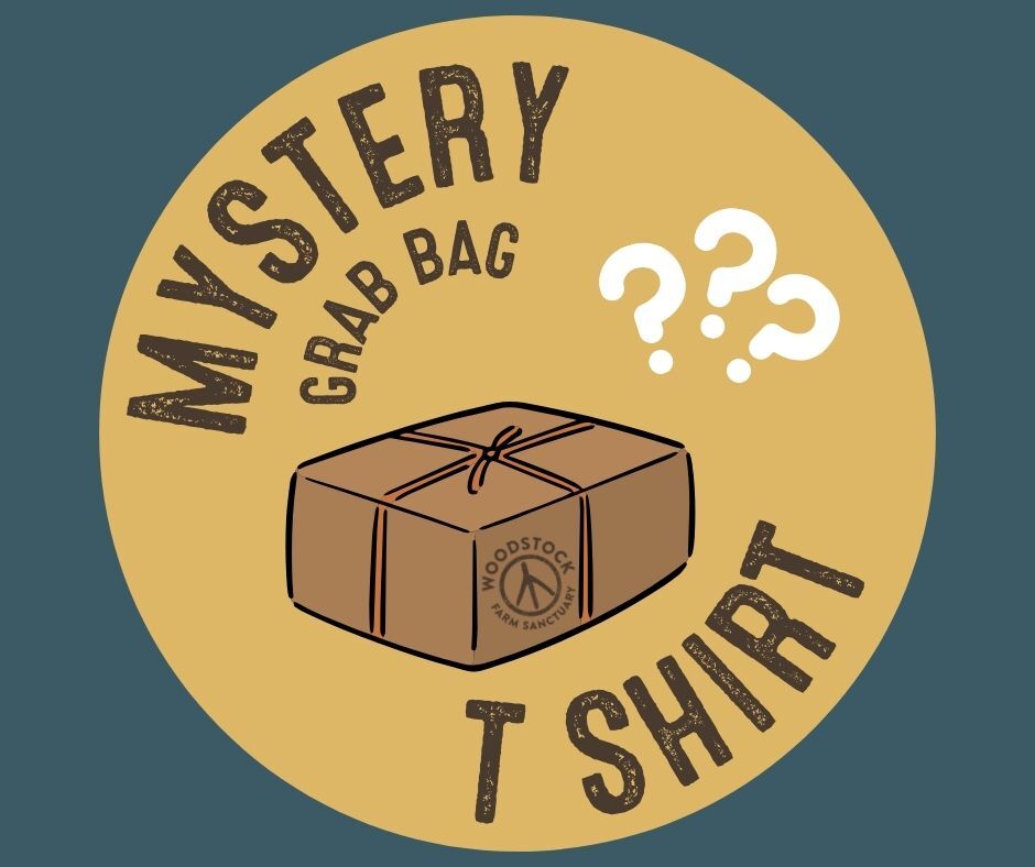 Mystery Grab Bag - T-Shirt