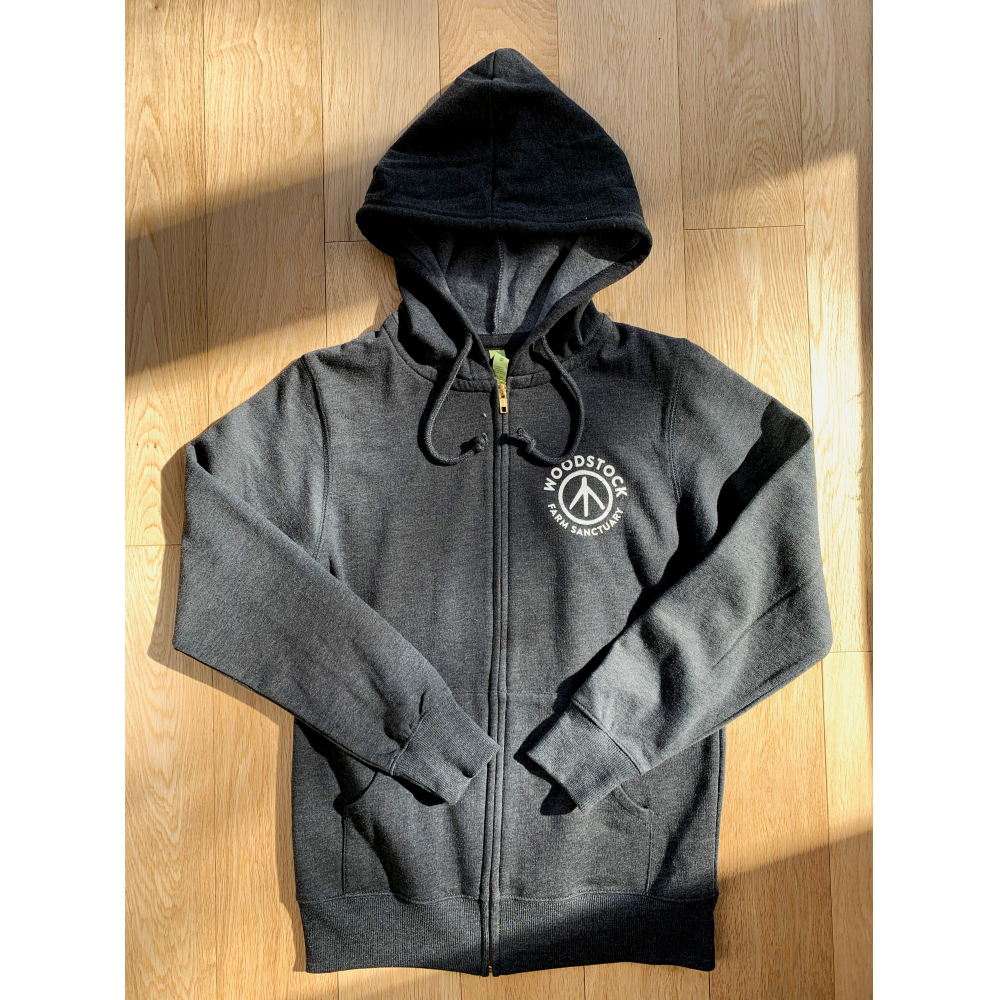 Logo Zip up Hoodie