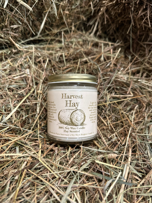 Harvest Hay Candle
