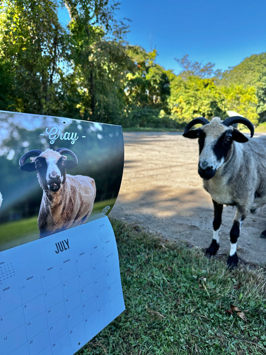 2026 Calendar