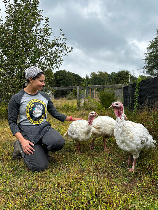 Hug Turkeys Tee