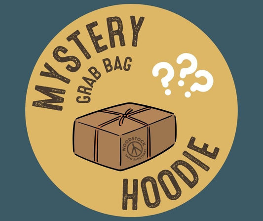 Mystery Grab Bag - Hoodie