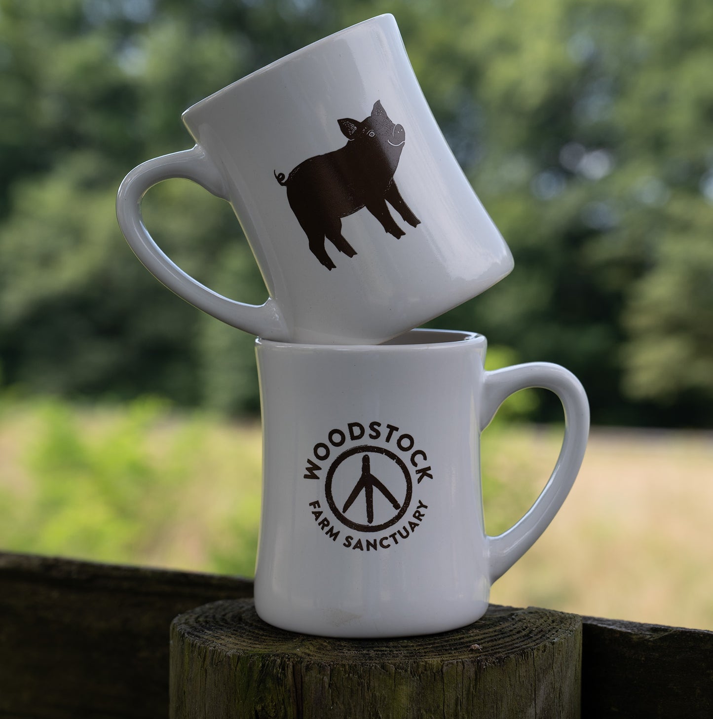 Pig Logo Mug